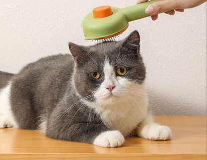 REMOVEDOR DE PELO GATO